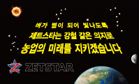 비전 �����